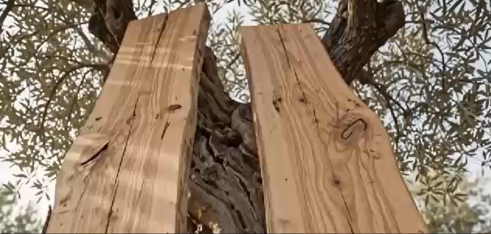 Holz mit Geschichte